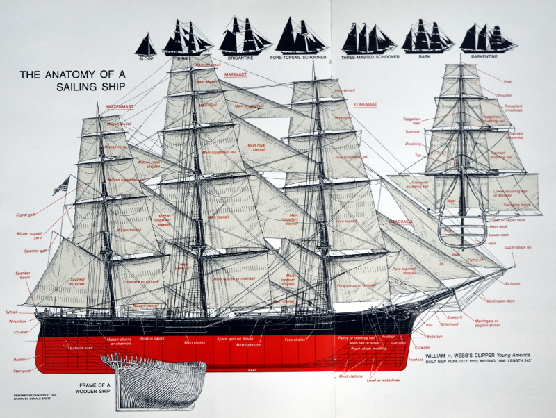 Anatomy of the 19th Century sailing ships